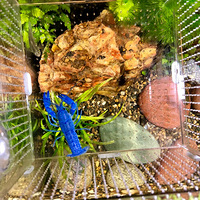 Ū�˸���ɫ��С����