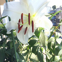 ɹɹ�������ÿ����İװٺ�~~~~����ûζ�� ��������