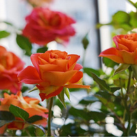 �鷳��λ���������ֻ���ʲô���֣�