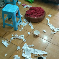 ����ֻ������������ĸ��