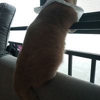 è���������ǿ��Ŵ��⣬Ϊʲô��