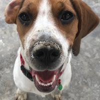 �����ﵷ���ա�������������