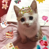 �����ﵷ���ա���Ȼֻ��ѡ��ԭ�°���˭������ô������