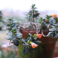 û����̨���ڴ����Ϻ��˸�¶��Сƽ̨��������ҵĻ��ݰ��˼�