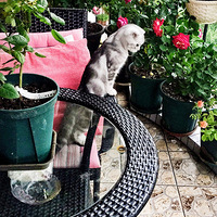 ��è�ͻ�����