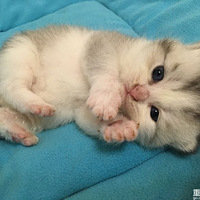 ���������˻������������ȵģ�