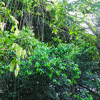 ��һ�ε������㰡 �ؼҾ����˳� �ú���