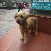 ��Ͽ�㳡����������ֻ�������˹��������