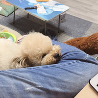 ����~�ҵĽ�������~