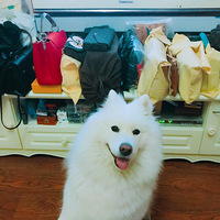 ������ĦҮ������ʺ�