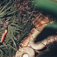 �ѻ���������߸�