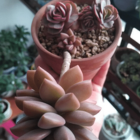 ���ܺ������϶��⡭��