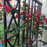 ��̨�����ʽ���