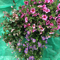 �����ֹ�ǹ��ң�����ʫ���Զ����������ģ�������