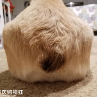 ģ���㻹Ҫ����ױ��̫���ˣ��»���ʾһ����Ӱ���ܸ㶨