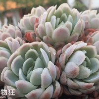 �������⣬����һ�������õ�С����~