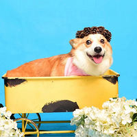 �������һ���ˡ�