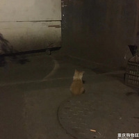 ԩ��·խ�����