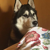 ��Щ�����������·���Ĺ���1��QQ