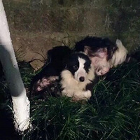 ��Щ�����������·���Ĺ�����2��11,12