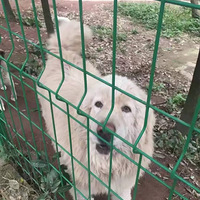 ����ܵܵ���Ƹ��ʺ��