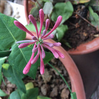 ��������ͷȥ�ڵĺ��������Ҫ����~~