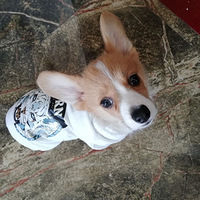 �Ҽҵ�С�̹�?