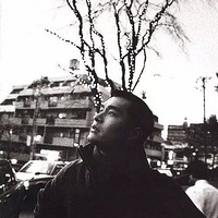 簲λ