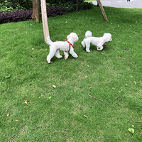 ̫��ûɹ������