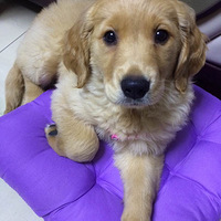 ���Ұ�����һ������