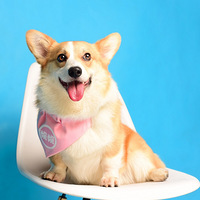 �ҵ�����С����