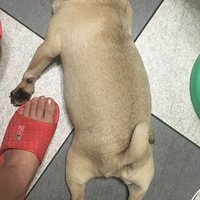 ���������ಡ�͸��һ����