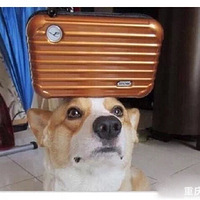 �Ӽ����ܳ����Ŀ»����㲻���˽�һ�£�