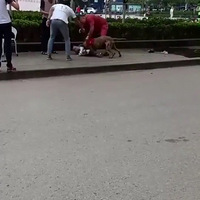 ��һ����Ȯ����