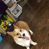 �»���Ů��С�����