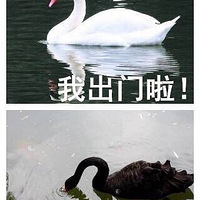 �⼸�������ʵд�ա�������ǰVS������