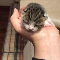 è�� �Ѿ��ҵ��¼�