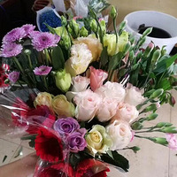 ���ʻ�������������