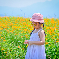 �Ĵ�������ɭ�֡��ӽ֡���������pick��һ��+���������޵���