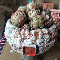 ��һ���ҵ��������