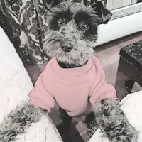 [�ȳ����]�ǽ��ҵĲ�ʺ��������ǰ��ʮ���С����