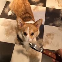 �����˽�һ�¿»���Ƥ��