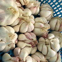 �������⣨���㣩