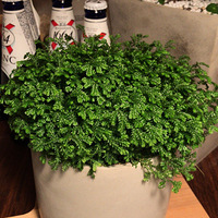 ��ĩʱ��ʰ��֮����