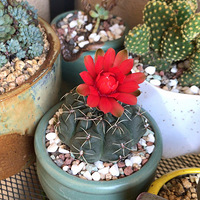 ����ڶ�����ϲ�������ɣ�ϲ�������ж�����