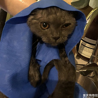 ��ʺ�٣���Ů�������Ĺ��㡭��