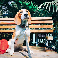 ���ȳ������������������ɰ�