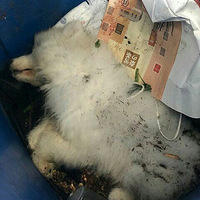 ��������ϸС��ô�죿¥�������ڶ����ؼ�������֮��ҩ������