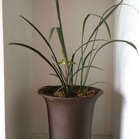 2018���µ�����