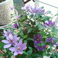 �������������ʣ���һ��Ҫ֪��ֲ���ϲˮ��